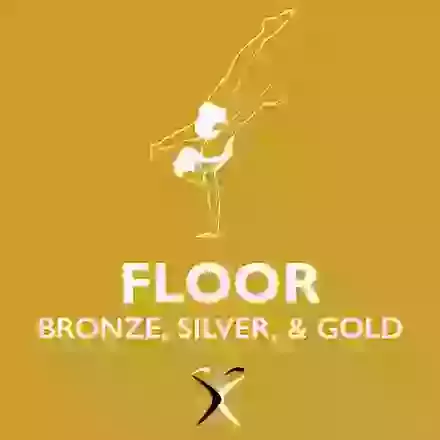 Floor Bronze, Silver, & Gold